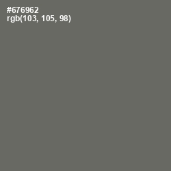 #676962 - Ironside Gray Color Image