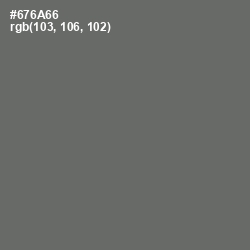 #676A66 - Ironside Gray Color Image