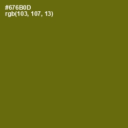 #676B0D - Olivetone Color Image