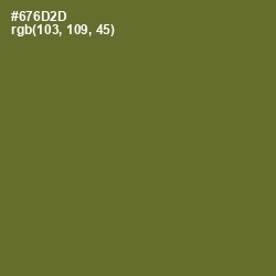 #676D2D - Fern Frond Color Image