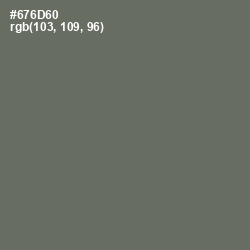 #676D60 - Ironside Gray Color Image