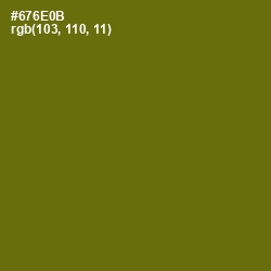 #676E0B - Olivetone Color Image