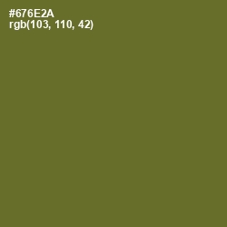 #676E2A - Fern Frond Color Image