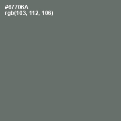 #67706A - Dove Gray Color Image