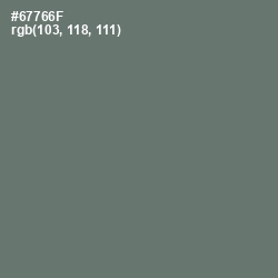 #67766F - Nevada Color Image