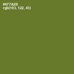 #677A2B - Fern Frond Color Image