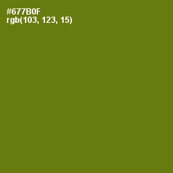 #677B0F - Olivetone Color Image