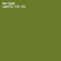 #677B2B - Fern Frond Color Image