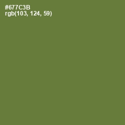 #677C3B - Crete Color Image