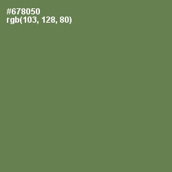 #678050 - Glade Green Color Image