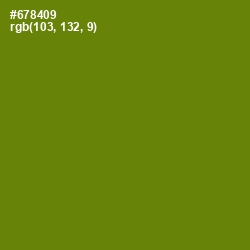 #678409 - Limeade Color Image