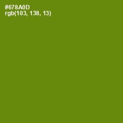 #678A0D - Limeade Color Image