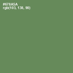 #678A5A - Glade Green Color Image