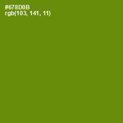 #678D0B - Limeade Color Image