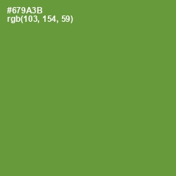 #679A3B - Olive Drab Color Image