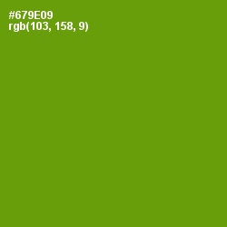 #679E09 - Limeade Color Image