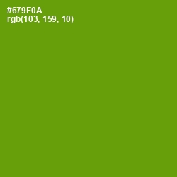 #679F0A - Limeade Color Image