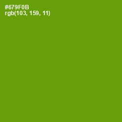 #679F0B - Limeade Color Image