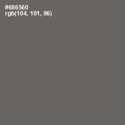 #686560 - Ironside Gray Color Image