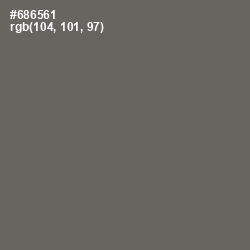 #686561 - Ironside Gray Color Image