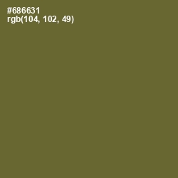 #686631 - Yellow Metal Color Image