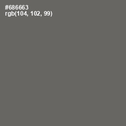 #686663 - Ironside Gray Color Image