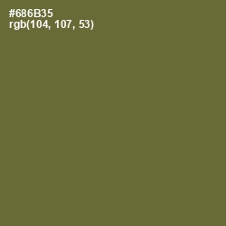 #686B35 - Yellow Metal Color Image