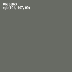 #686B63 - Flint Color Image