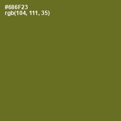 #686F23 - Fern Frond Color Image