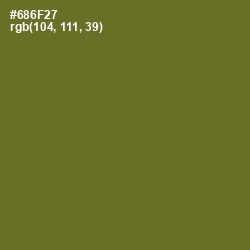 #686F27 - Fern Frond Color Image