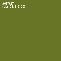 #687527 - Fern Frond Color Image