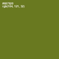 #687920 - Fern Frond Color Image