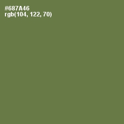 #687A46 - Go Ben Color Image