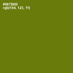 #687B0B - Olivetone Color Image