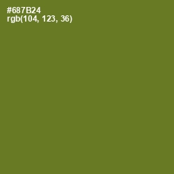#687B24 - Fern Frond Color Image