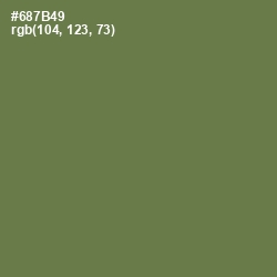 #687B49 - Go Ben Color Image