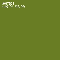 #687D24 - Fern Frond Color Image