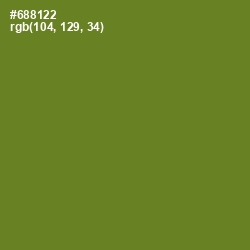 #688122 - Olive Drab Color Image