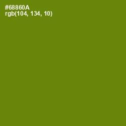 #68860A - Limeade Color Image