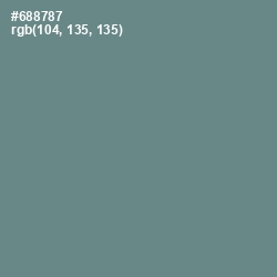 #688787 - Sirocco Color Image