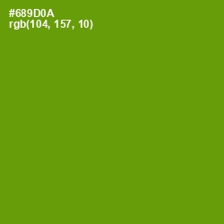 #689D0A - Limeade Color Image