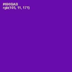 #690BAB - Purple Color Image