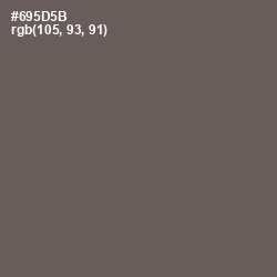 #695D5B - Pine Cone Color Image