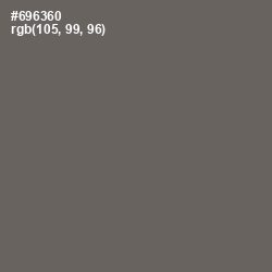 #696360 - Ironside Gray Color Image