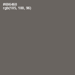 #696460 - Ironside Gray Color Image