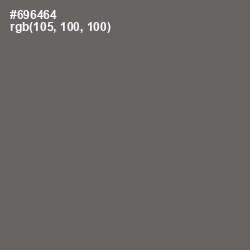 #696464 - Ironside Gray Color Image
