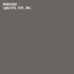 #696560 - Ironside Gray Color Image