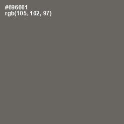 #696661 - Ironside Gray Color Image