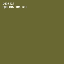 #696833 - Yellow Metal Color Image