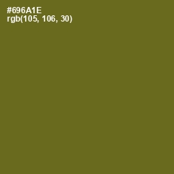 #696A1E - Olivetone Color Image